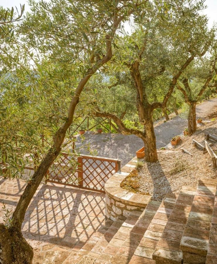 Umbrian Cottage Gubbio Exteriör bild